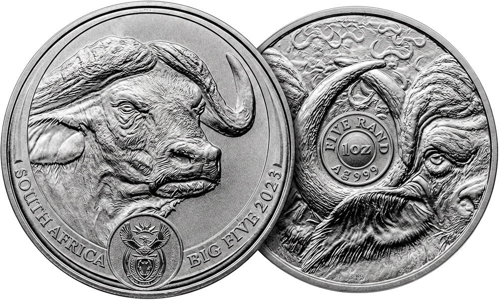 South Africa Big Five buffalo 1oz silver coin